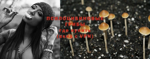 альфа пвп Нефтегорск